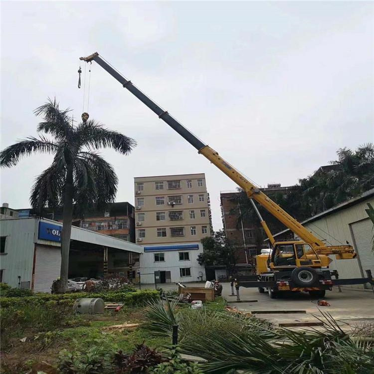 中江汽车吊出租多少钱？全面解析与市场行情